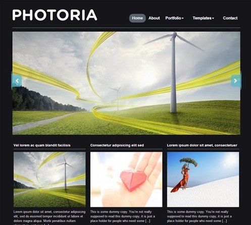 photoria portfolio theme
