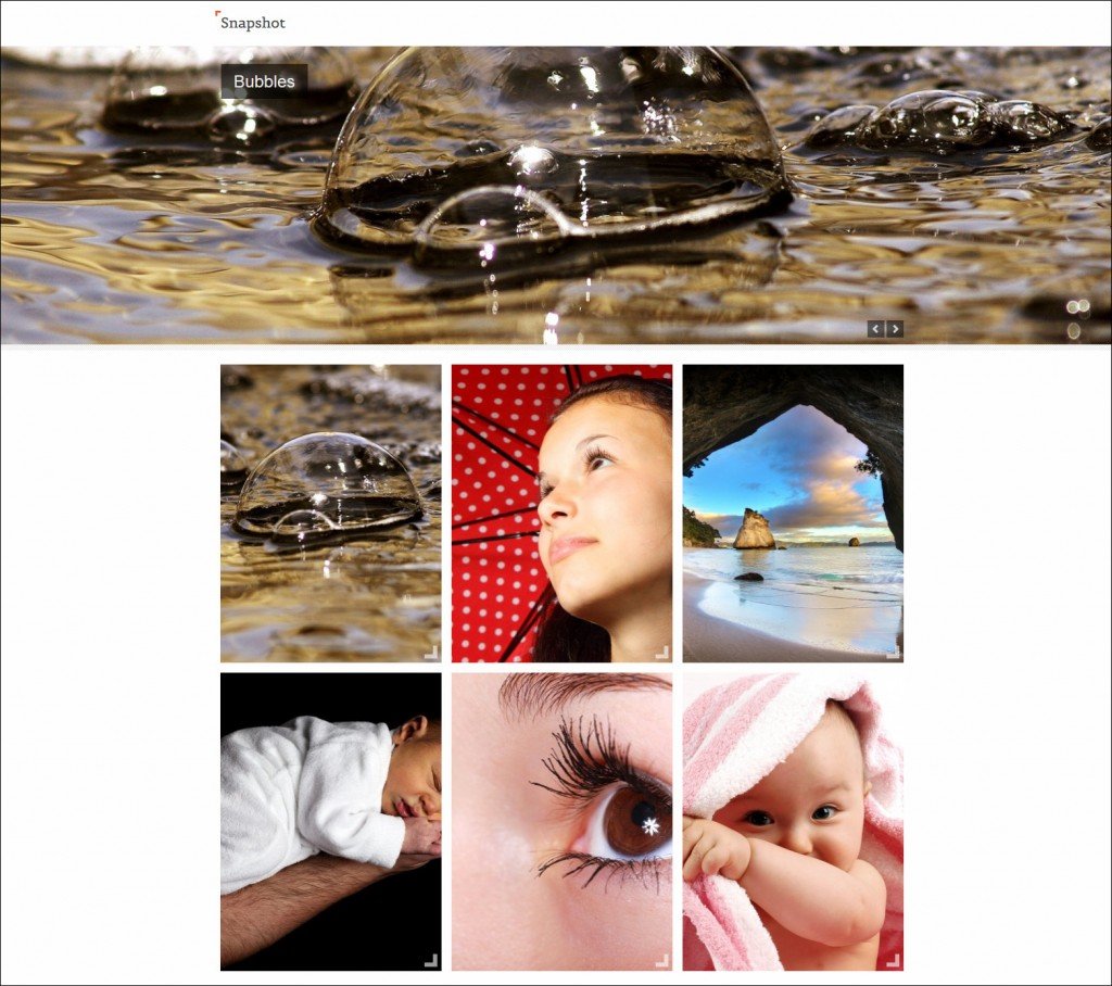 snapshot photgraphy website template