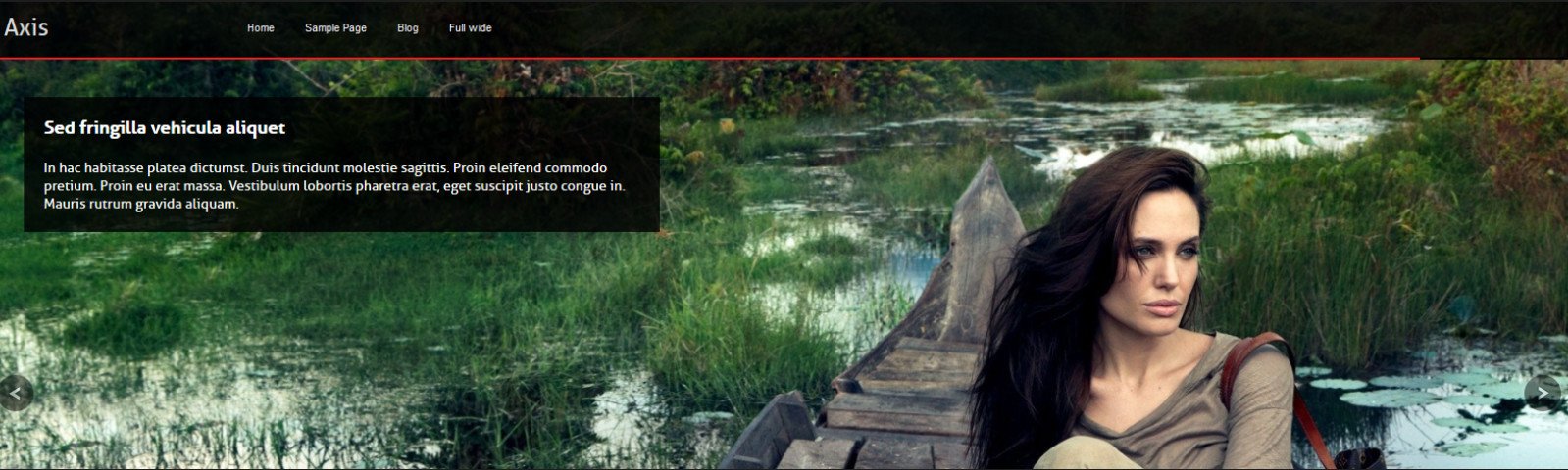 35+ Premium And Free Fullscreen WordPress Themes