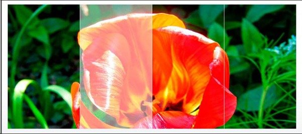 360-jQuery-Image-Slider