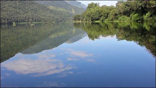 Forest-Lake-1