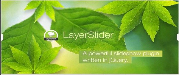LayerSlider