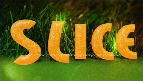 Orange-Slices