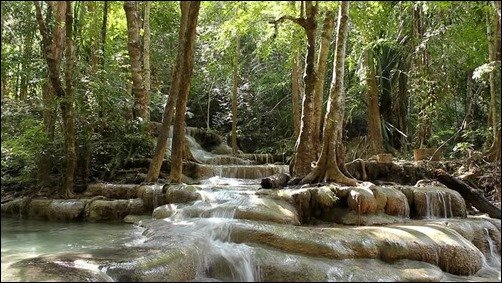 Thai-Fall-1