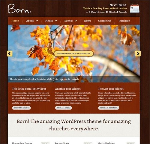 born wordpress church themes