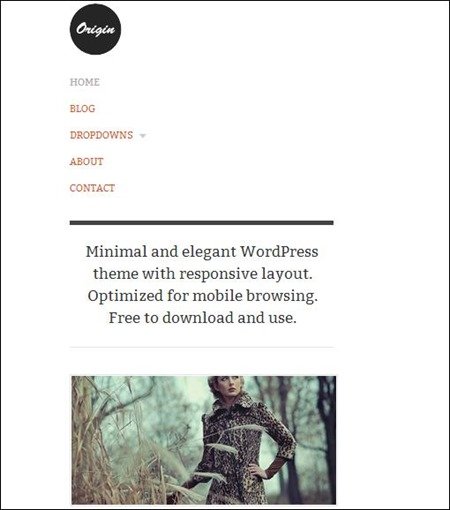 origin-responsive-theme[3]