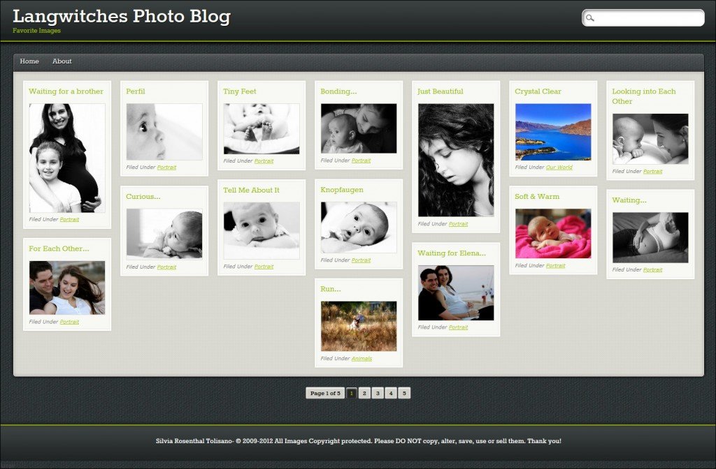 pinblack photography website template