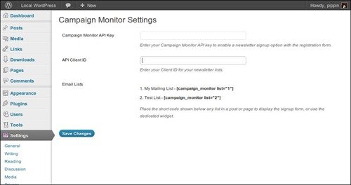simple-campaign wordpress newsletter plugins