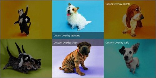 wp-thumbfx jQuery Slider