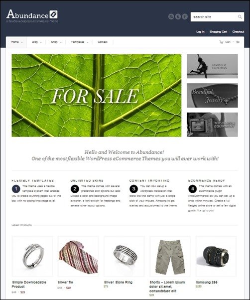 Abundance wordpress business themes