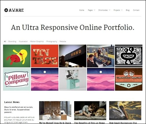 Aware responsive WordPress theme