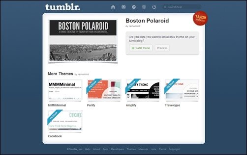 Boston-Polariod best tumblr themes