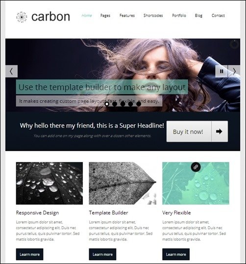 Carbon responsive WordPress theme