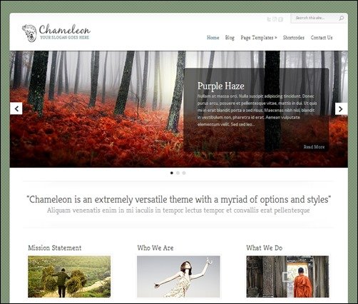 Chameleon-simple-wordpress-themes