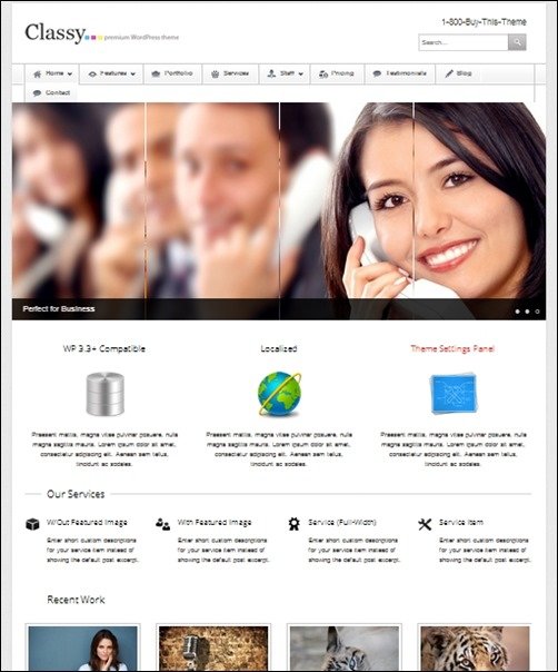 Classy wordpress business themes