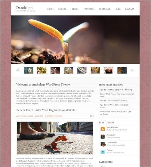 Dandelion wordpress business themes