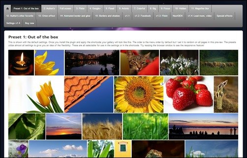 Justified-Image-Grid-wordpress-slider-plugin