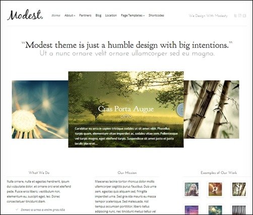 Modest-simple-wordpress-themes
