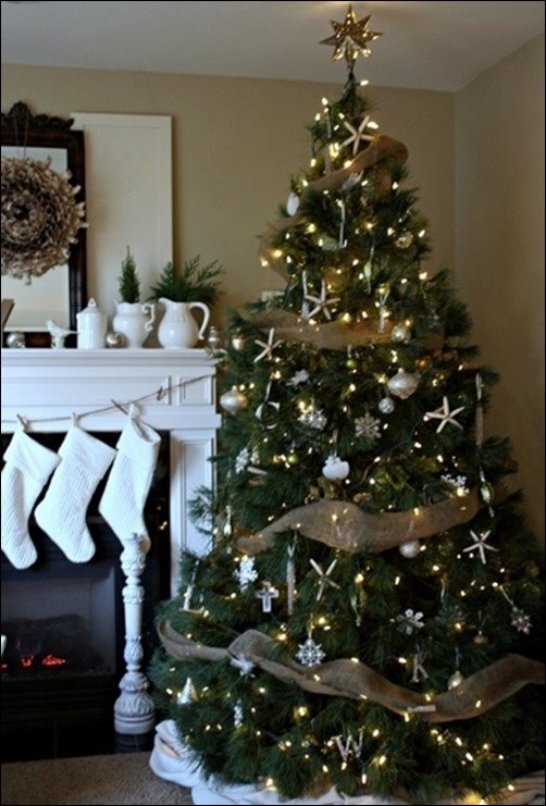 My-Christmas-House[3]