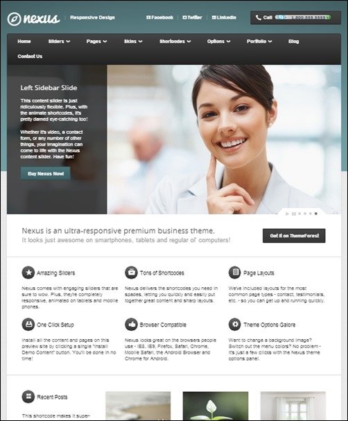 Nexus wordpress business themes