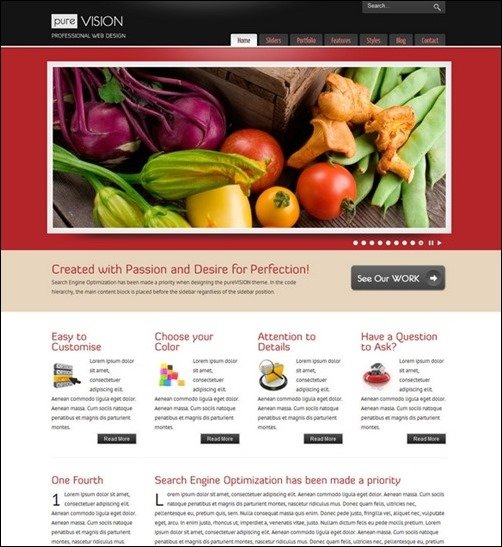 PureVISION wordpress business themes