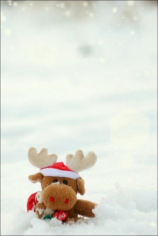 Reindeer- iphone wallpapers