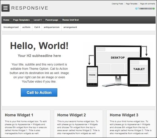 Responsive responsive WordPress theme