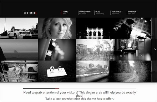 Sentinell responsive WordPress theme