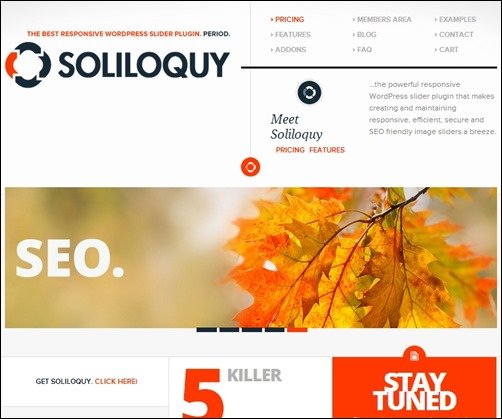 Soliloquy-Lite-wordpress-slider-plugin
