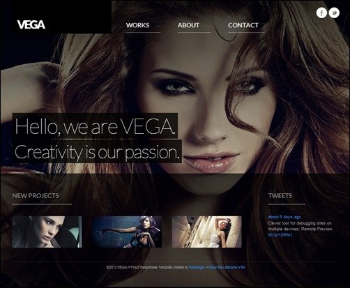 Vega-html-5-template
