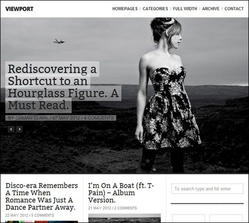 Viewport simple wordpress themes