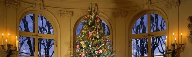 24 Stunning Christmas Tree Pictures