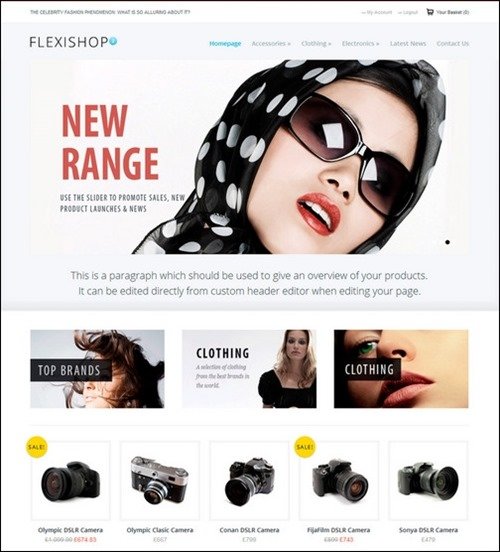 flexishop-2 WordPress ecommerce themes