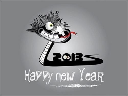 funny new-year-2013 wallpaper