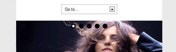 25+ Best Responsive WordPress Theme Designs