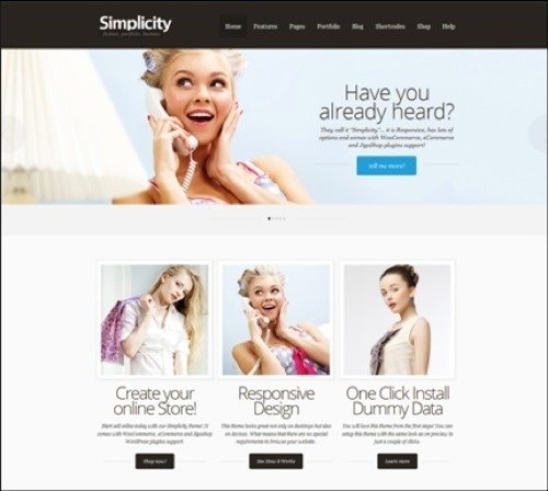 simplicity WordPress ecommerce themes