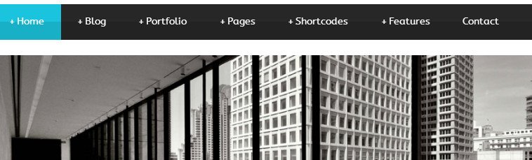30+ Professional WordPress Business Themes