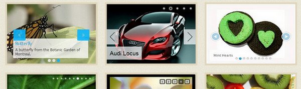 20+ WordPress Slider Plugin Collection