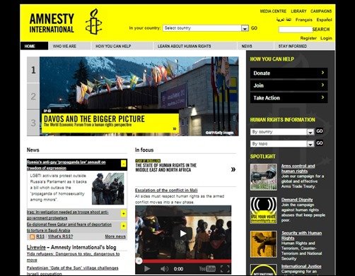 Amnesty-International-nonprofit-website