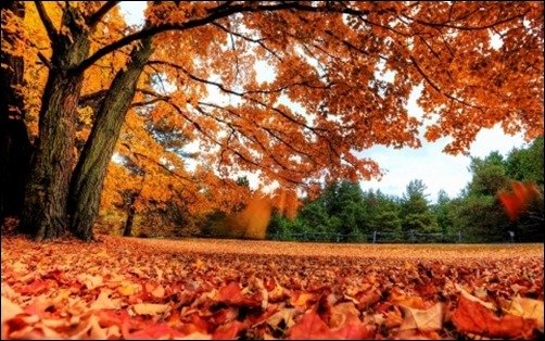 Autumn-Country-high-resolution-wallpaper Autumn-Country-high-resolution-wallpaper