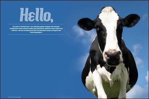 Fernandoleite-personal-blog