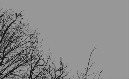 Gray-Day-minimal-wallpapers