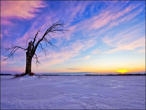 HD-Winter-Wallpaper-winter-wallpaper