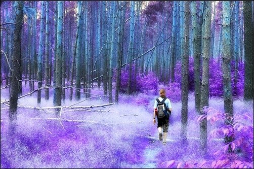 Inverted-Colors-photo-effects Inverted-Colors-photo-effects