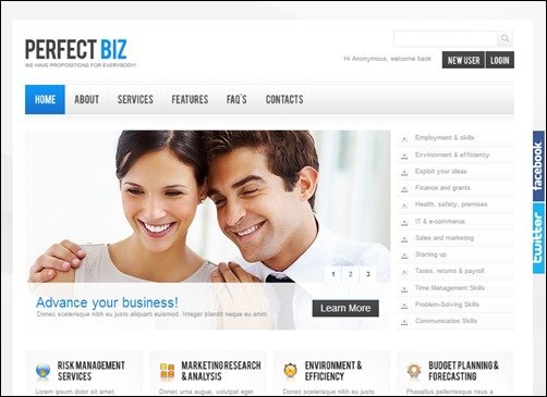 Perfect-Biz-drupal-7-themes