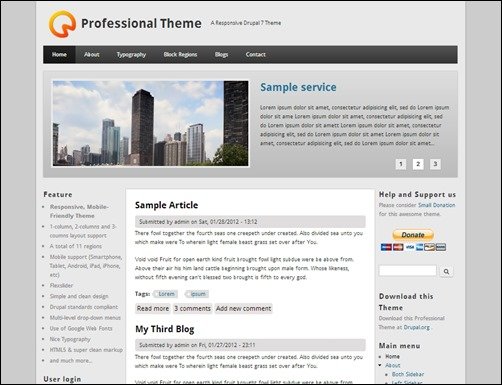 Professional-Theme-drupal-7-themes