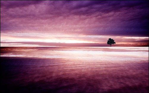 Purple-Nature-high-resolution-wallpaper Purple-Nature-high-resolution-wallpaper
