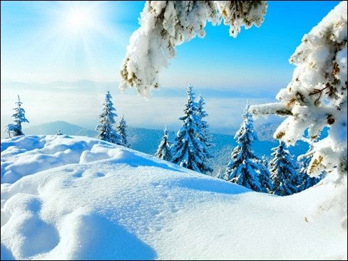 Winter-Sun-winter-wallpaper-for-computer