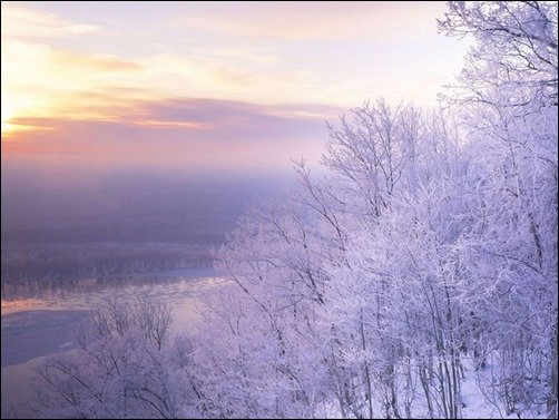 Winter-Trees-winter-wallpaper-for-computer