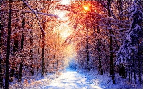 Winter-Wallpaper-II-winter-backgrounds